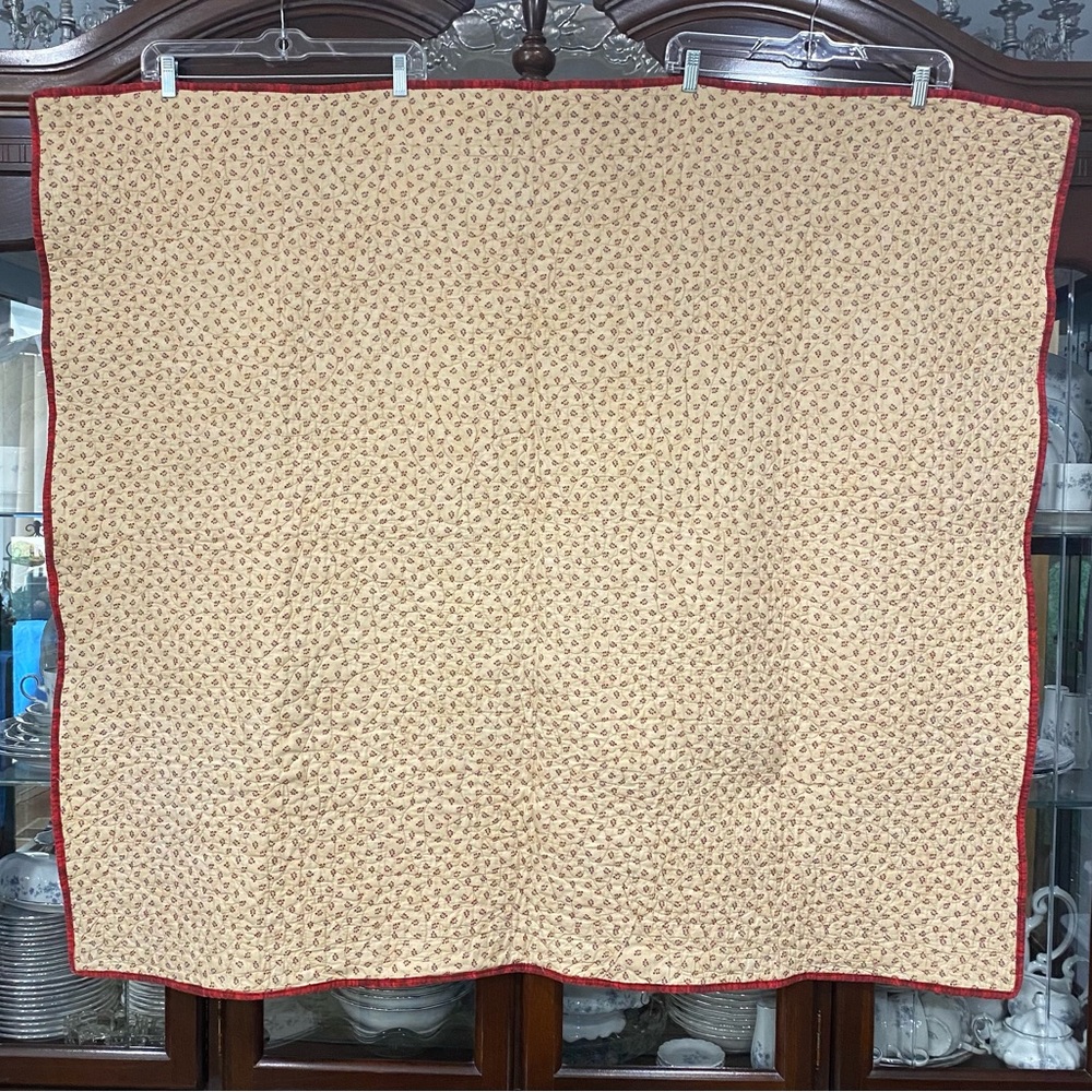 Watermelon Picnic Log Cabin Handmade Quilt - Picture 5 of 13